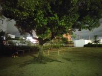 愛知県大府市の心霊スポット「向江公園」