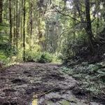 群馬県安中市の心霊スポット「旧松井田トンネル（旧天神山隧道）」