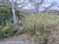 岡山県倉敷市の心霊スポット「自殺した霊が現れる電柱」