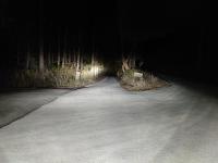 千葉県木更津市の心霊スポット「大井の山道」