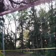 茨城県境町の心霊スポット「茨城一家殺人事件」
