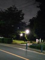 東京都中野区の心霊スポット「江古田の森公園」