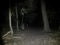 兵庫県尼崎市の心霊スポット「猪名寺の廃寺跡」