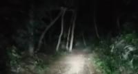 【千葉県】烏の森(旧・若竹慰霊の森)