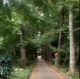 千葉県柏市の心霊スポット「廣幡八幡宮」