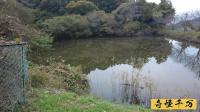 茨城県つくば市の心霊スポット「給食センター裏の池」