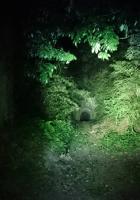 千葉県市原市の心霊スポット「日天様隧道」