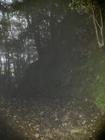 佐賀県唐津市の心霊スポット「岸岳城跡」