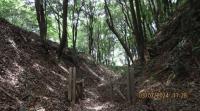 茨城県守谷市の心霊スポット「守谷城址公園」
