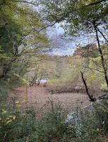 【千葉県】植草共生の森・御成貯水池跡の画像