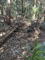 千葉県松戸市の心霊スポット「呪詛の森」