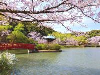 【愛知県】定光寺公園