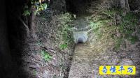 千葉県市原市の心霊スポット「日天様隧道」