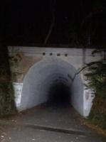 広島県広島市の心霊スポット「南原トンネル」