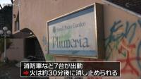 【愛知県】海風洋館プルメーリア(プルメリア)