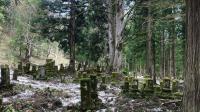 山・森の心霊スポット