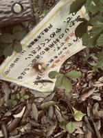 神奈川県横浜市の心霊スポット「戸塚西公園」