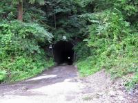 徳島県那賀町の心霊スポット「十二弟子隧道」