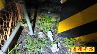 千葉県流山市の心霊スポット「東深井のお化け踏切」