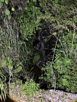 高知県香美市の心霊スポット「麓宝園跡」