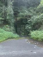 トンネルの心霊スポット