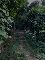 埼玉県さいたま市の心霊スポット「七里殺人の森」