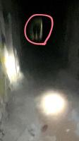 千葉県東金市の心霊スポット「ホテル活魚（油井グランドホテル）」