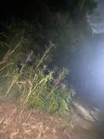 墓地・慰霊碑の心霊スポット