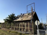 【埼玉県】アフリカケンネル