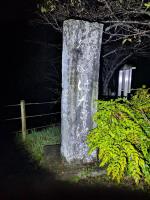 【静岡県】はたご池
