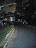 福島県いわき市の心霊スポット「勿来関」