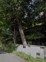 【愛知県】蘇南公園近くの廃屋の画像