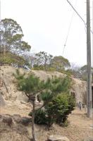 山口県下関市の心霊スポット「旧夢が丘公園」