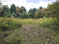 岩手県一関市の心霊スポット「ほまれや公園」