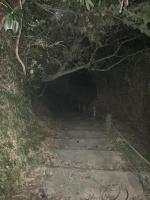 沖縄県東村の心霊スポット「真のsss（シーゾーグムイ付近新川川流域にある御嶽）」