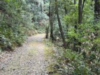 山・森の心霊スポット