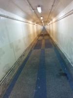 公園・城跡の心霊スポット