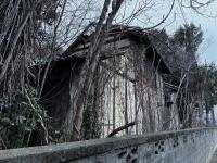 【埼玉県】上根の幽霊屋敷