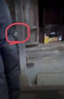 山・森の心霊スポット