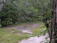 遊園地の心霊スポット