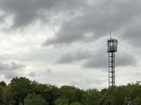 【愛知県】末野の林の画像
