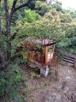 【広島県】金尾展望台廃ロープウェイの画像