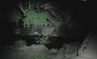 公園・城跡の心霊スポット