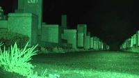 墓地・慰霊碑の心霊スポット