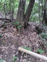 大阪府吹田市の心霊スポット「紫金山公園」