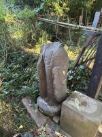 樹木の心霊スポット