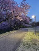 【千葉県】臼井城址公園の画像