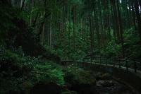 川・滝の心霊スポット