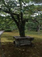 公園・城跡の心霊スポット