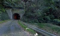 【静岡県】石山トンネルの画像